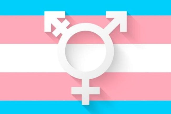 Quantos Trans e Gays Existem no Mundo?