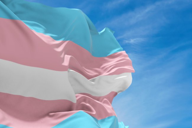 Quais são os direitos dos transgêneros no Brasil?