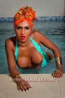 Bella Castler - Transex Rio de Janeiro - anuncio Olá meu anjo, está em busca de prazer e momentos inesquecíveis? Encontrou a pessoa certa, me chamo Bella Chandler, sou uma linda e gostosa preta, com 1,70m de altura e 75kgs, carioca .Sou uma transex simpática, educada, sem frescuras, cheirosa, insaciável, feminina, dominadora, entre outras milhões de qualidades. Ativa e passiva, bissexual com 22cm prolongados de prazer com uma bunda empinada, uma sentada nervosa e um cuzinho bem quente.Estou a pouco tempo no Rio de Janeiro capital, tenho privê e posso ir ao seu encontro também. Liga no telefone e venha se deliciar. Aceito cartões de débito e crédito! ...