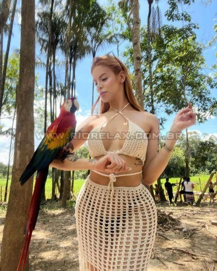 RJ Hari Rodrigues 89f536 RJ Hari Rodrigues 89f536